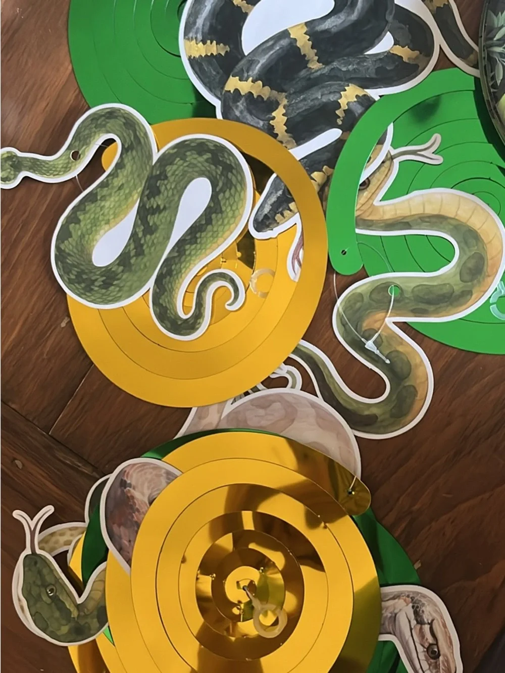 Jungle Snake Themed Happy Birthday Party Plates & Napkins - Black/Green